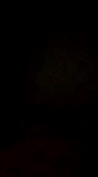 lobomisterioso13 online show from 02/03/25, 02:14