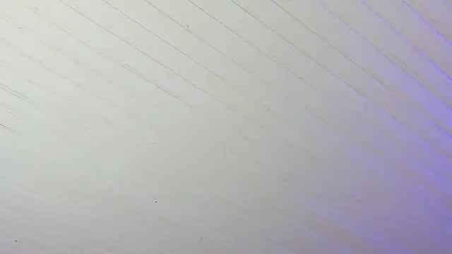 Ammy nova online show from 12/17/25, 07:53