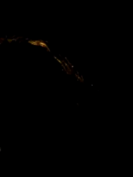 pleasure of life online show from 04/19/26, 06:10