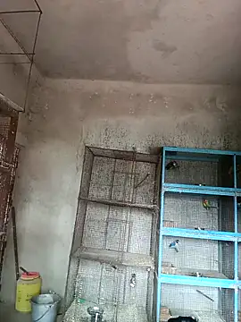 NICK IN online show from 02/18/25, 04:15