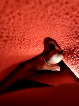 Snapshot of Ssdhaka11 chatting on 12/25/24, 07:13 Ssdhaka11 online show from 12/25/24, 07:13