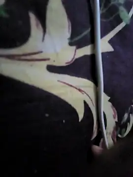 Snapshot of Ssdhaka11 chatting on 02/05/25, 09:18 Ssdhaka11 online show from 02/05/25, 09:18