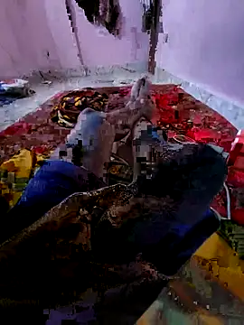 Snapshot of Ssdhaka11 chatting on 11/06/25, 02:51 Ssdhaka11 online show from 11/06/25, 02:51