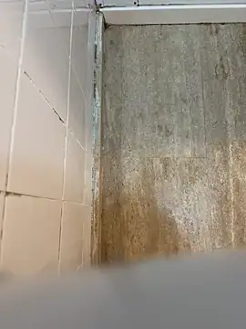 Snapshot of reelciii21 chatting on 03/23/25, 12:58 reelciii21 online show from 03/23/25, 12:58