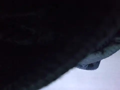 exmilitary online show from 02/15/26, 12:58