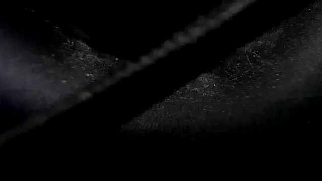 Niquitasparkles online show from 01/23/25, 10:33