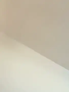 TransboyJay online show from 02/13/26, 05:31