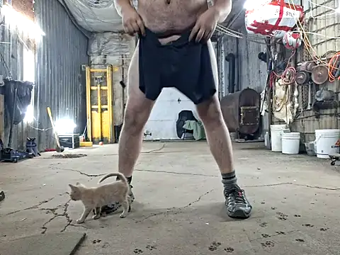 Frankdick01 online show from 11/08/25, 04:12