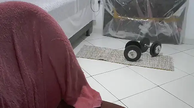 bbehemothh online show from 12/21/24, 02:30