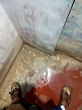 Andrapradesh online show from 11/21/25, 04:49