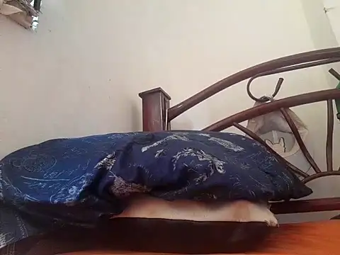  afrodita sex online show from 02/10/25, 07:49