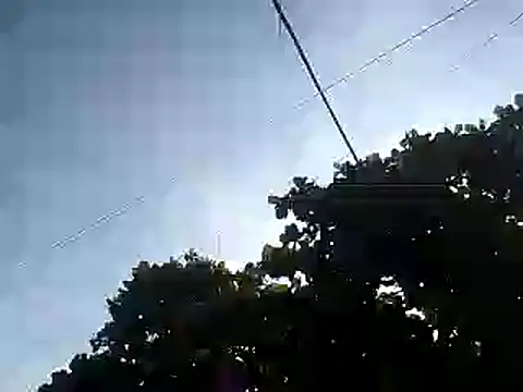 fdvign7 online show from 11/05/25, 09:15