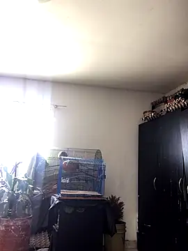 Miss oliviaa online show from 10/22/25, 02:06