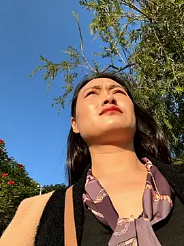 Lfeiji online show from 11/26/25, 08:37