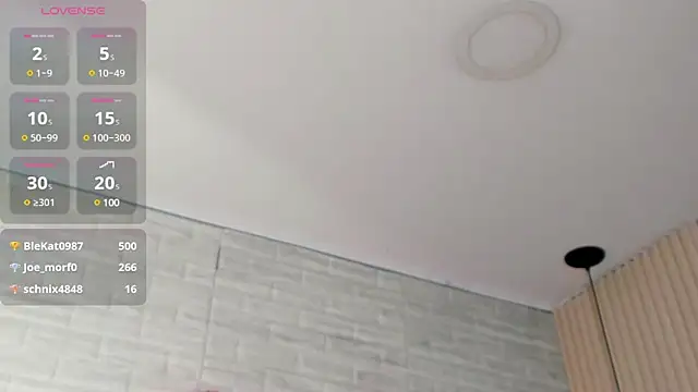 nicole  parker1 online show from 02/13/25, 06:48