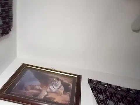 Snapshot of gemini12838 chatting on 01/13/25, 02:39 gemini12838 online show from 01/13/25, 02:39