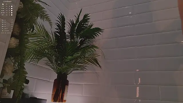 MichaellaMoon online show from 12/03/25, 02:15