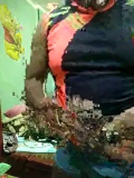 ShelfyOfferer online show from 01/31/26, 11:14