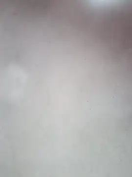 Snapshot of _violetta_- chatting on 10/12/25, 12:59  violetta - online show from 10/12/25, 12:59