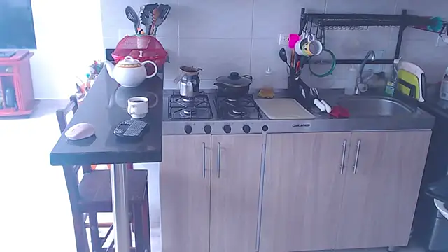 meridandwither online show from 01/31/25, 03:00