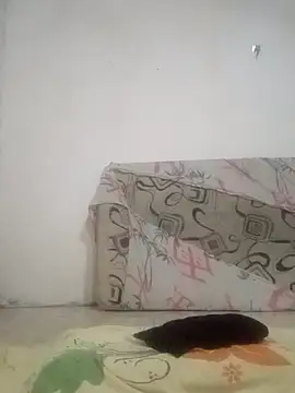 motoboysafd online show from 01/11/26, 07:24