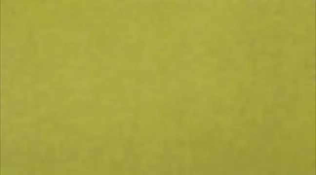 AnneGagner online show from 03/09/25, 06:32