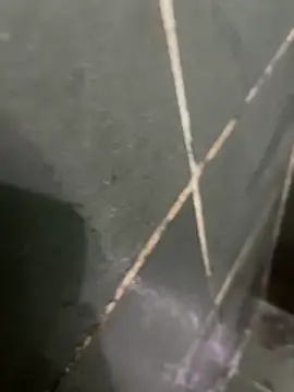 gzn01 online show from 10/28/25, 04:49