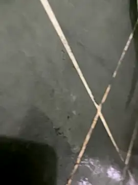 gzn01 online show from 10/30/25, 07:03