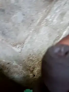 jellydicks online show from 12/29/24, 11:18