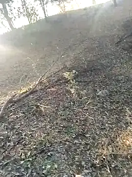 jellydicks online show from 02/21/26, 02:01