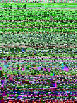 Harii 02 online show from 02/08/25, 07:49