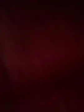 tripexnte online show from 02/13/25, 07:45