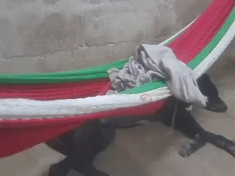 tripexnte online show from 02/16/25, 11:26