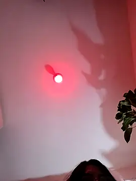 ferwambier online show from 02/12/26, 05:52