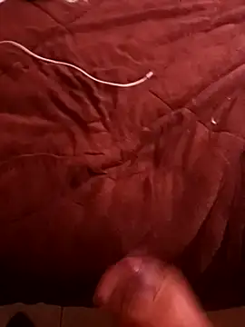 pedritolobito online show from 12/17/24, 04:11