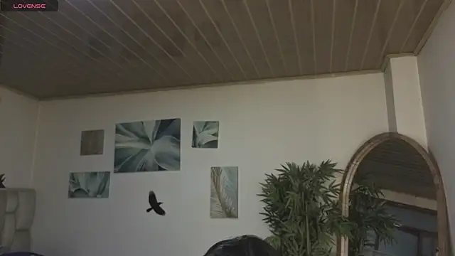 Amy Kiitty  online show from 05/17/26, 01:18