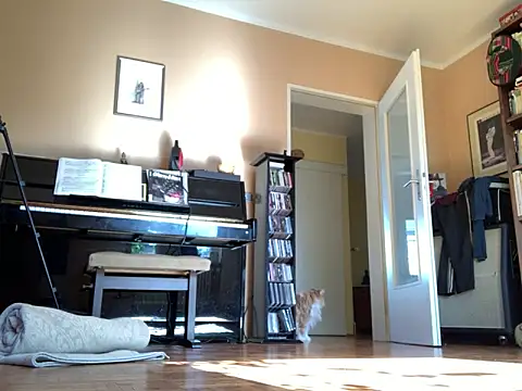 Bula94193 online show from 09/24/25, 09:45