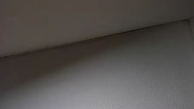 Dimitri higth420 online show from 03/15/25, 08:48