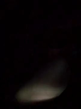 axelongshaft69 online show from 03/09/26, 12:53