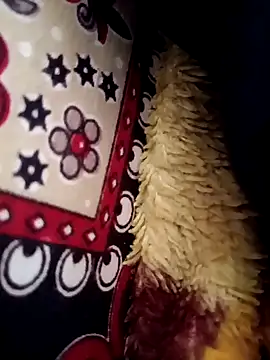 Gujrat player online show from 03/13/25, 08:04