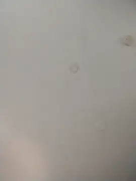 geilerschwanz64 online show from 11/26/25, 08:21