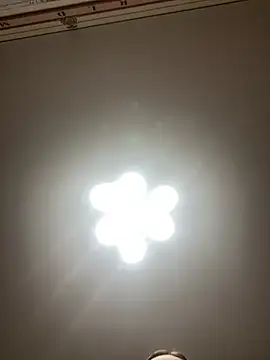 Janet Welder online show from 12/20/24, 08:34