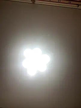 Janet Welder online show from 12/01/25, 02:38