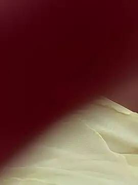 lariic online show from 03/31/26, 06:41