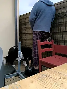 bogland33 online show from 03/13/25, 10:15