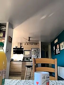 bogland33 online show from 11/22/25, 08:13