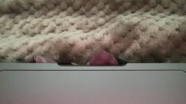 thick n hard online show from 12/14/24, 09:51