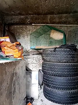 Elvishcassie  online show from 10/01/25, 06:58