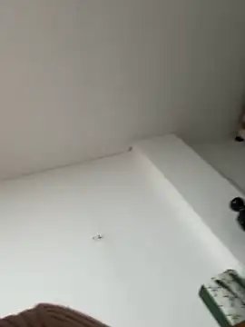 siri duque online show from 01/07/26, 01:30