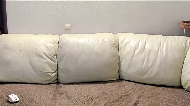 Pawsitive Panther online show from 12/02/24, 08:44